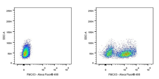 FMC63 Recombinant Rabbit mAb (S-2163-77)