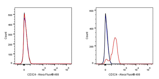Rat Anti-Mouse/Human CD324 Antibody (S-R650)