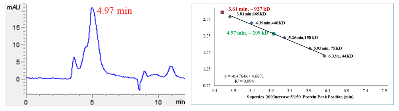 CDK15/Cyclin Y Protein