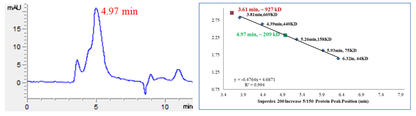 CDK15/Cyclin Y Protein