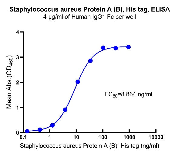 Staphylococcus aureus Protein A (B) His Tag, Human