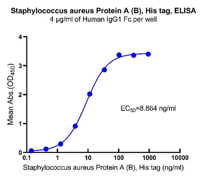 Staphylococcus aureus Protein A (B) His Tag, Human
