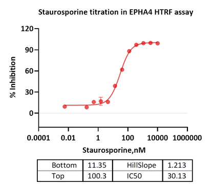 EPHA4 Protein