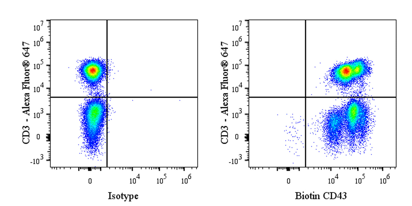 Biotin Rabbit Anti-Human CD43 Antibody (S-R101)