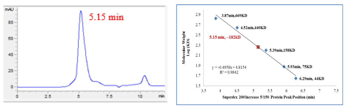 MAPKAPK3 GST Tag Protein, Human