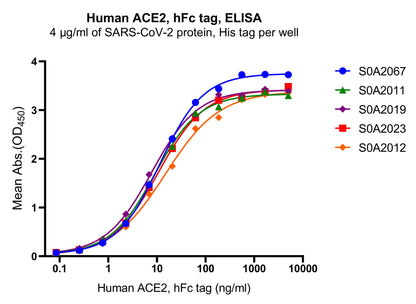 ACE2 hFc Tag Protein, Human