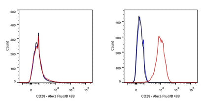 Goat anti-Mouse IgG(H+L) (Alexa Fluor® 488 Conjugate)