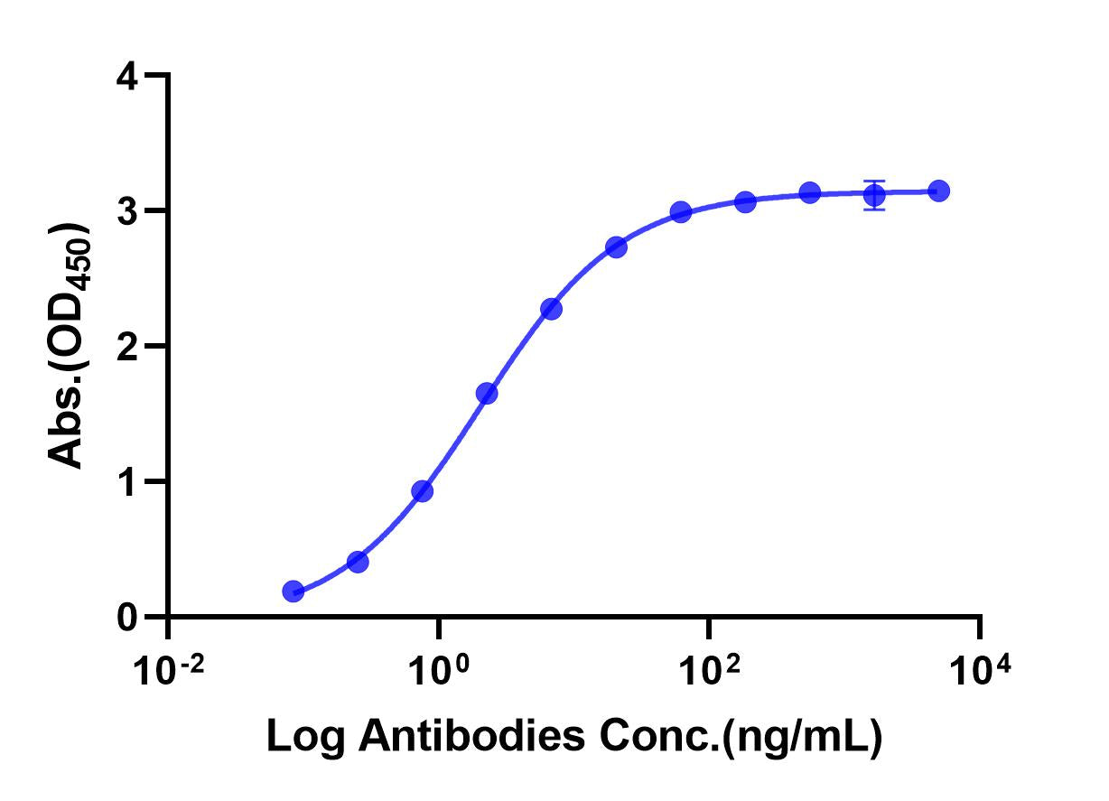 Anti-TNFRSF17/CD269/BCMA/TNFRSF13A Monoclonal Antibody (Belantamab)