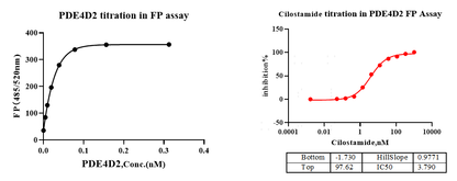 PDE4D2 GST Tag Protein, Human