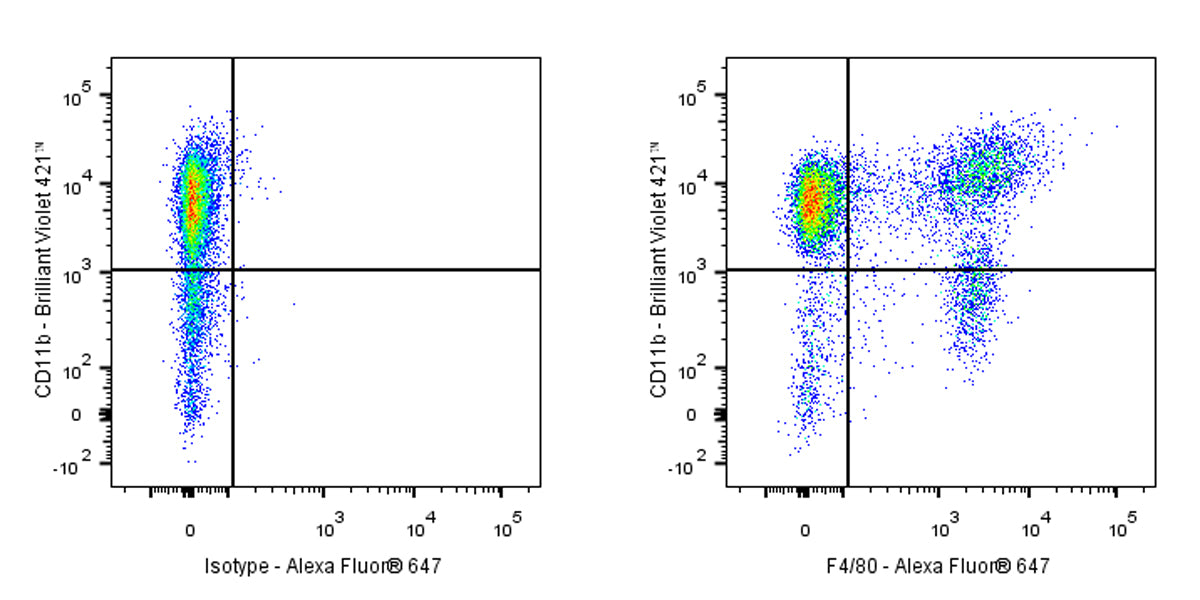 Alexa Fluor® 647 Rat Anti-Mouse F4/80 Antibody (S-R537)