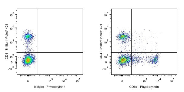 PE Rat Anti-Mouse CD8α Antibody (S-353-45)