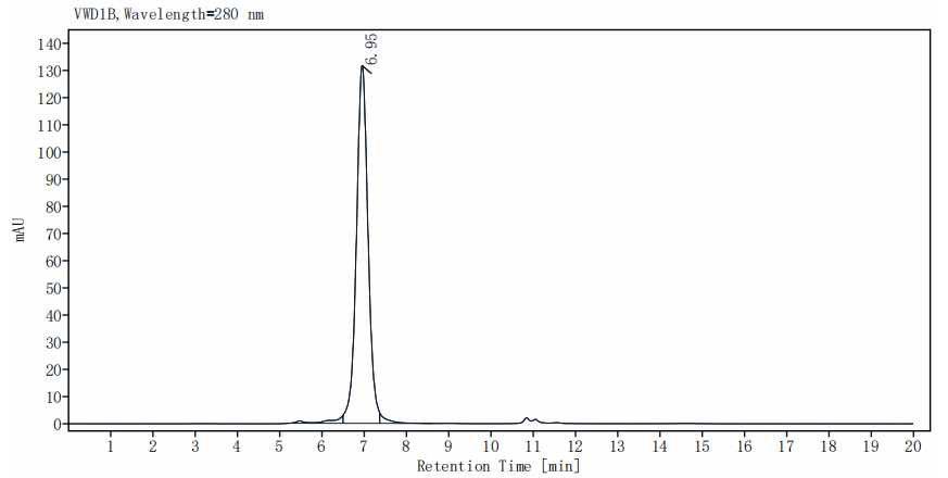 IL-18Rβ/IL-1R7 Fc Chimera Protein, Human