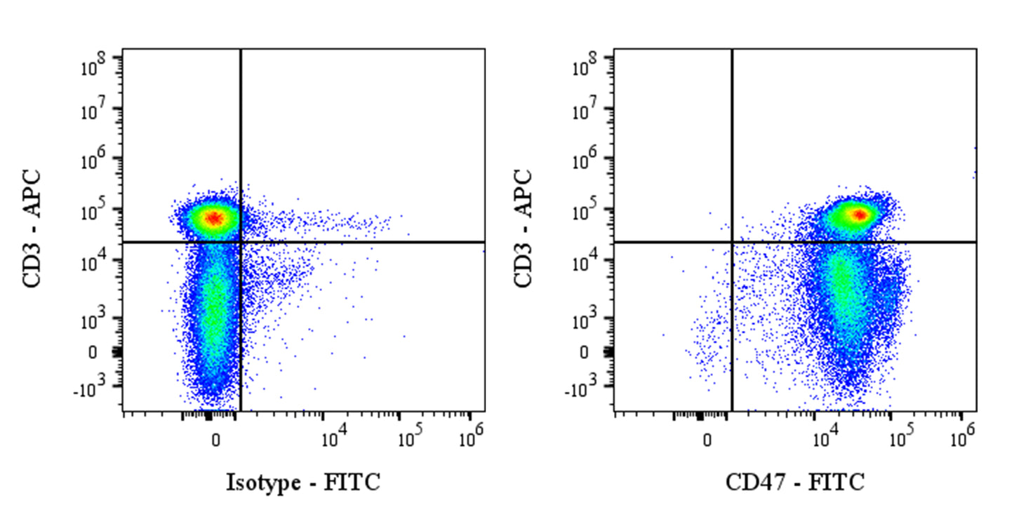 FITC Mouse Anti-Rat CD47 Antibody (OX-101)