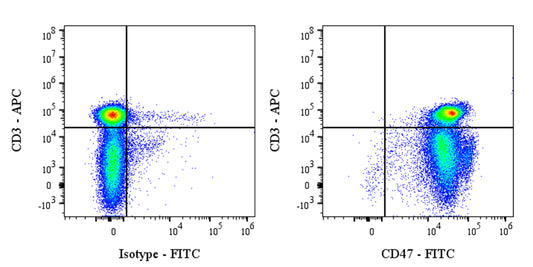 FITC Mouse Anti-Rat CD47 Antibody (OX-101)
