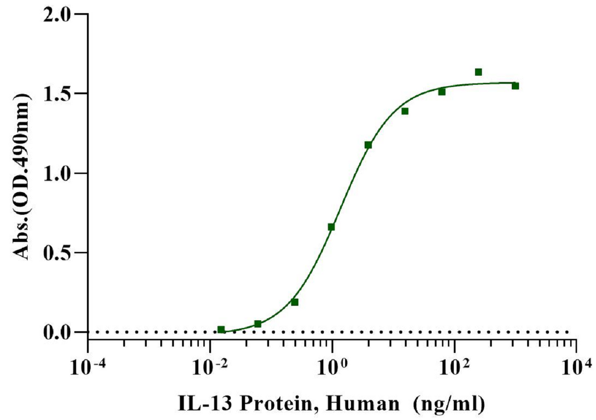 IL-13 Protein, Human