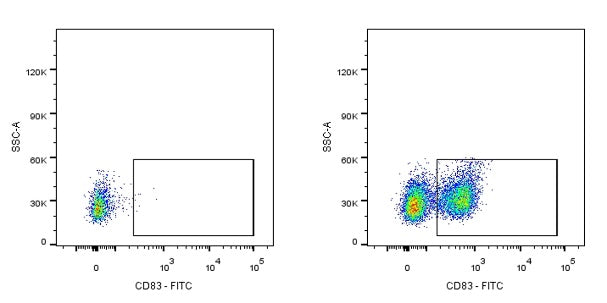 FITC Rat Anti-Mouse CD83 Antibody (S-R522)