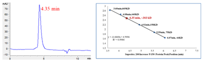 CDK6/Cyclin D2 Protein