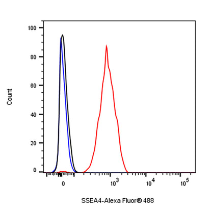 SSEA4 Recombinant Mouse mAb (S-R541)