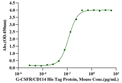 G-CSF Protein, Mouse