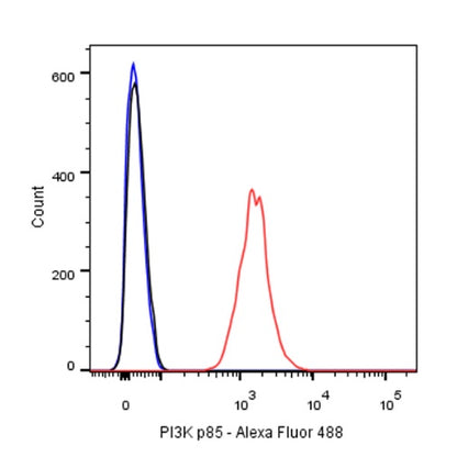 PI3 Kinase p85 Recombinant Rabbit mAb (SDT-R108)