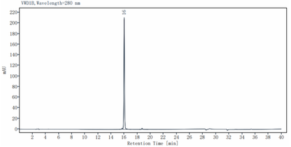 IL-18 Protein, Human
