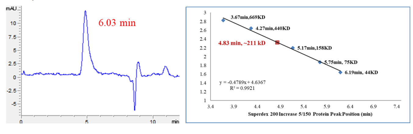 CDK9/Cyclin T1 Protein