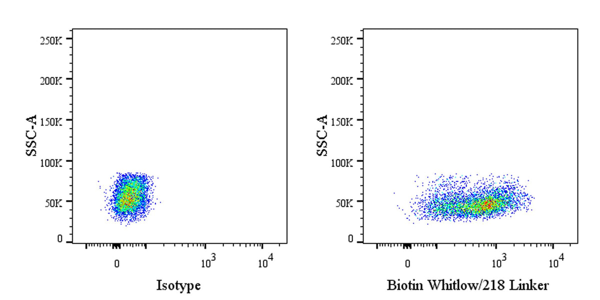 Whitlow/218 Linker Recombinant Rabbit mAb (Biotin conjugate) (S-712-10)