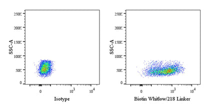 Whitlow/218 Linker Recombinant Rabbit mAb (Biotin conjugate) (S-712-10)