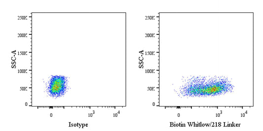 Whitlow/218 Linker Recombinant Rabbit mAb (Biotin conjugate) (S-712-10)