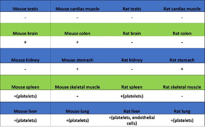 CD61 Recombinant Rabbit mAb (S-2515-6)