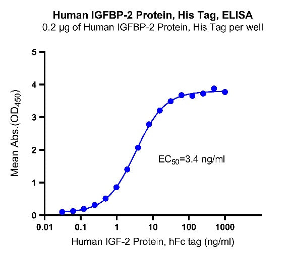 Human IGFBP-2 Protein, His Tag