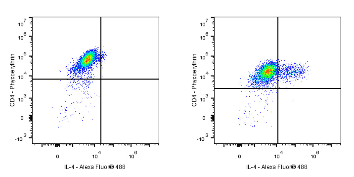 Alexa Fluor® 488 Rat Anti-Human IL-4 Antibody (MP4-25D2)