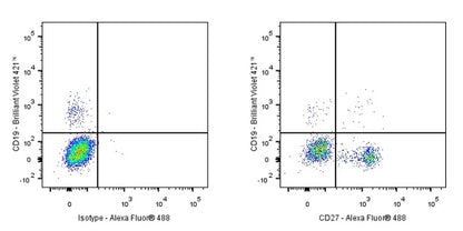 Armenian hamster Anti-Mouse/Rat/Human CD27 Antibody (S-R620)