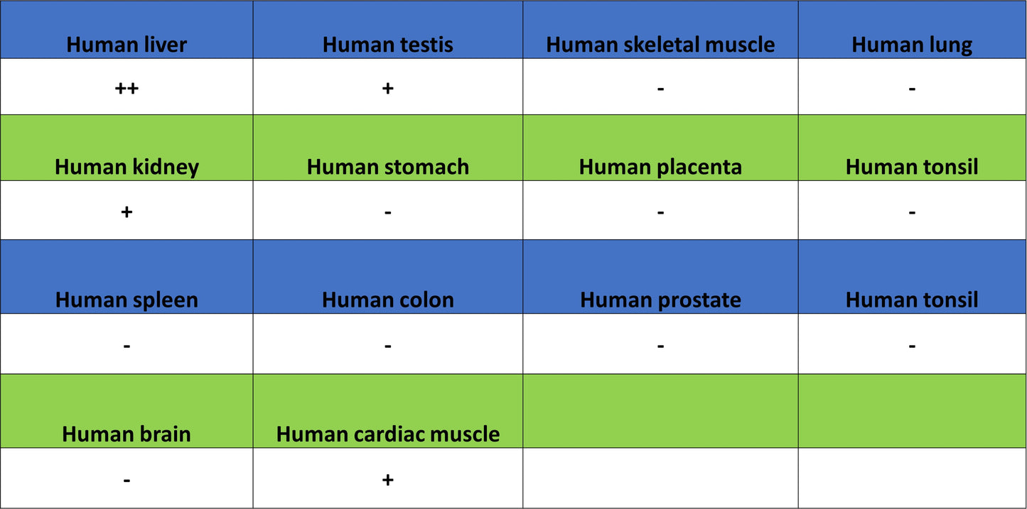 Aass Recombinant Rabbit mAb (S-4170-22)