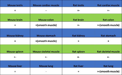 TLR4 Recombinant Mouse mAb (SDT-3305)