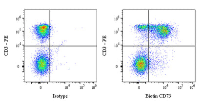 Biotin Recombinant Rabbit mAb (FITC Conjugate) (S-3083)