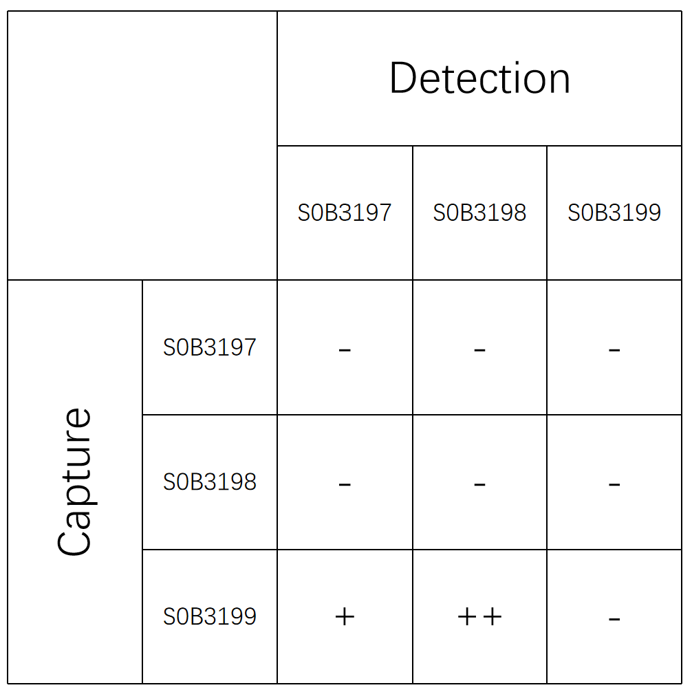 ACTH Recombinant Rabbit mAb (SDT-363-92)