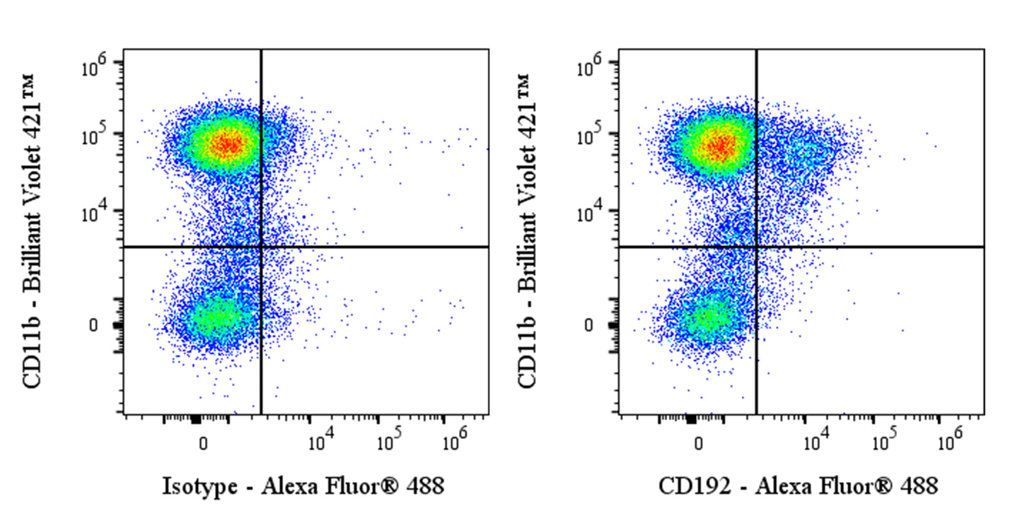 Alexa Fluor® 488 Rat Anti-Mouse CD192 Antibody (S-R731)