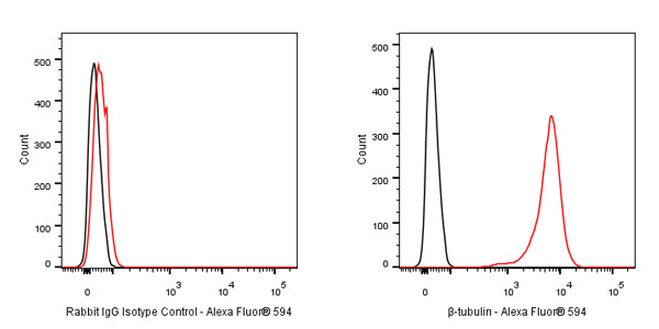 Alexa Fluor® 594 Rabbit IgG Isotype Control Antibody (S-R058)