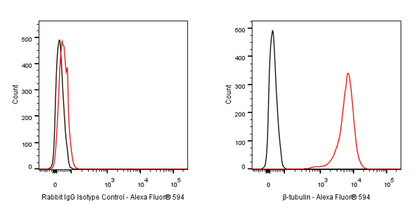 Alexa Fluor® 594 Rabbit IgG Isotype Control Antibody (S-R058)