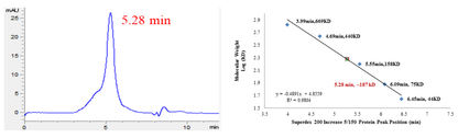 CDK6/Cyclin D1 Protein