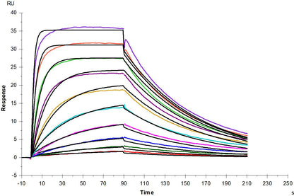 Thrombopoietin R/TPO R His Tag Protein, Human