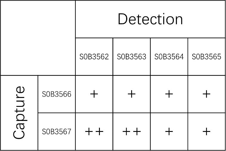 TSH Recombinant Rabbit mAb (SDT-1595-87)