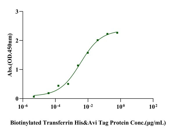 TfR/CD71 His Tag Protein, Human