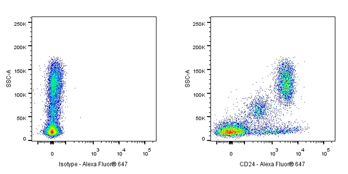 Alexa Fluor® 647 Mouse Anti-Human CD24 Antibody (ML5)