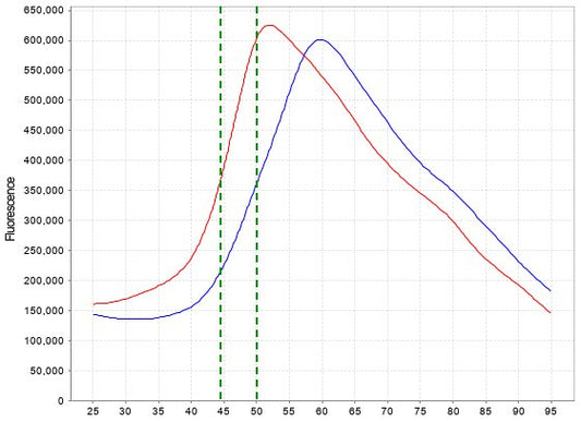 TEAD4(YBD), His Tag Protein
