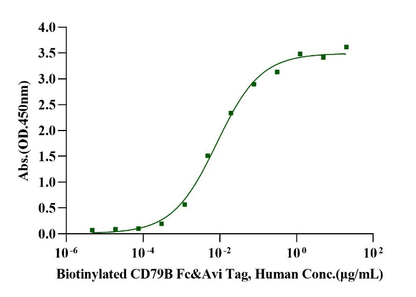 Biotinylated CD79B Fc&Avi Tag Protein, Human