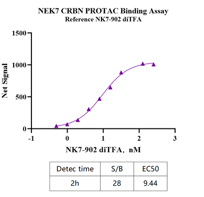 NEK7 GST Tag Protein, Human