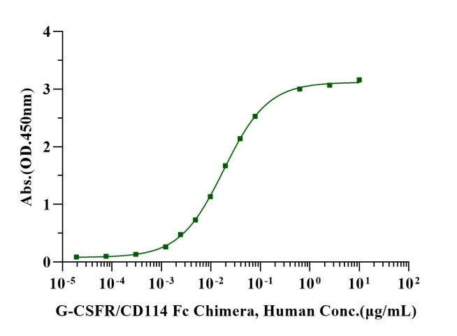 G-CSF Protein, Human