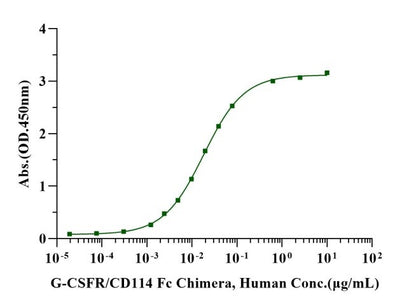 G-CSF Protein, Human